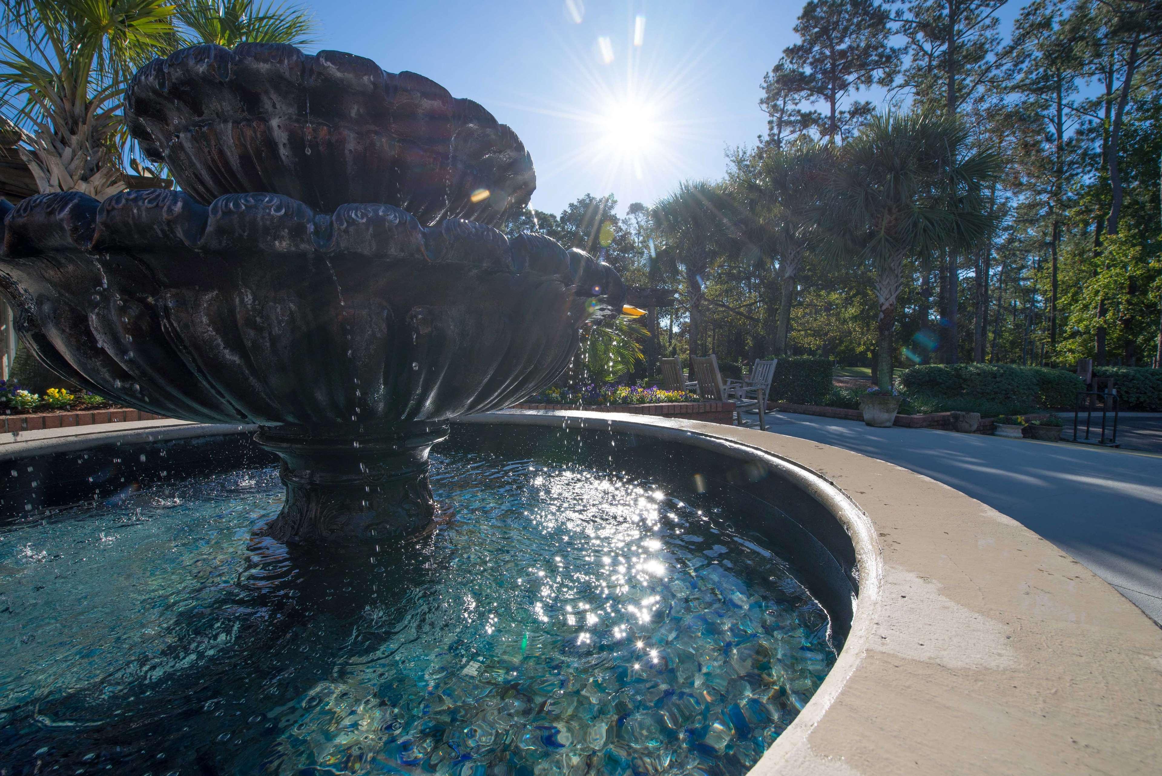 Ellington At Wachasaw Eas Aparthotel Murrells Inlet Exterior photo