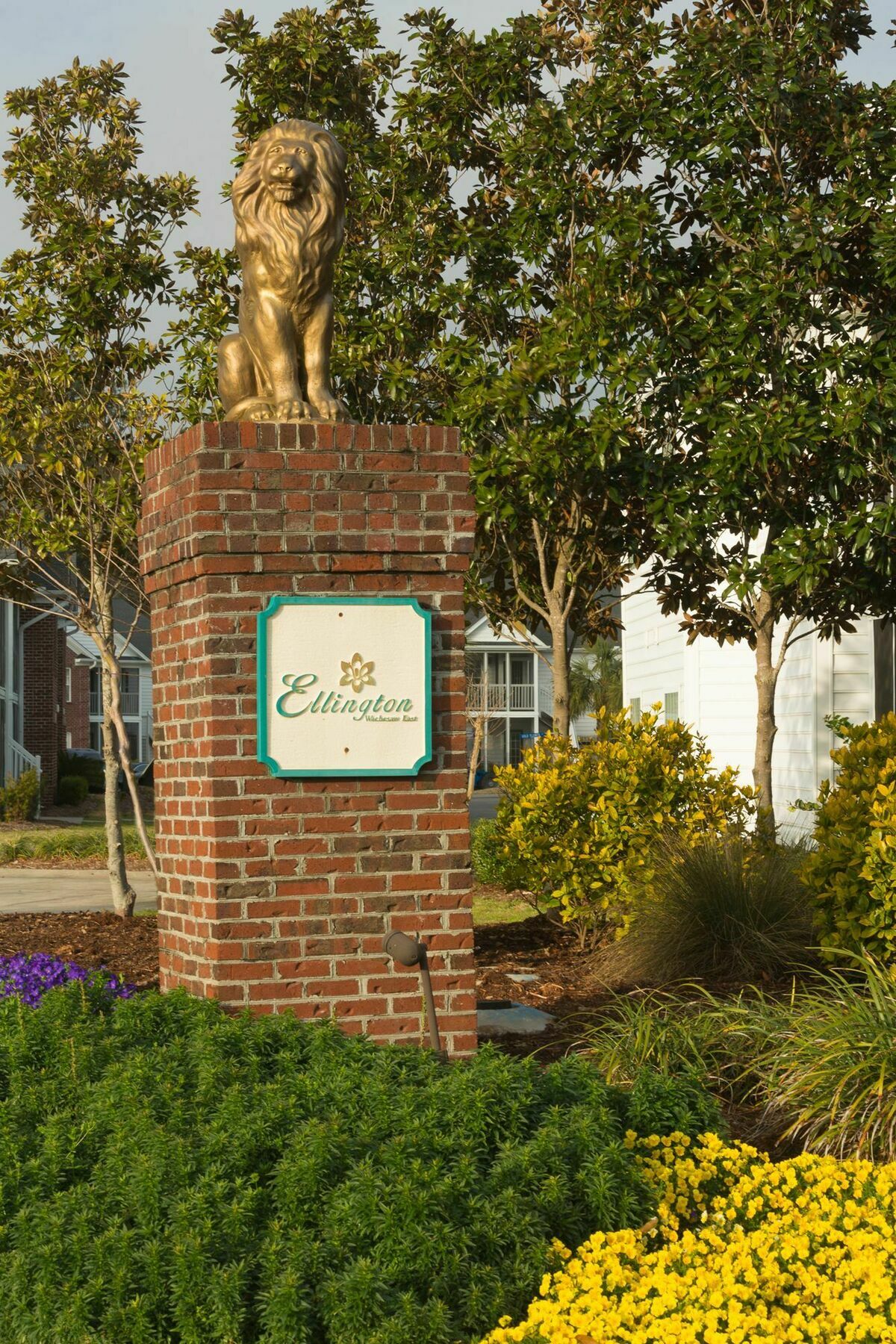 Ellington At Wachasaw Eas Aparthotel Murrells Inlet Exterior photo